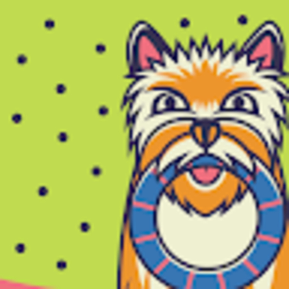 Meet your Posher, Kevin